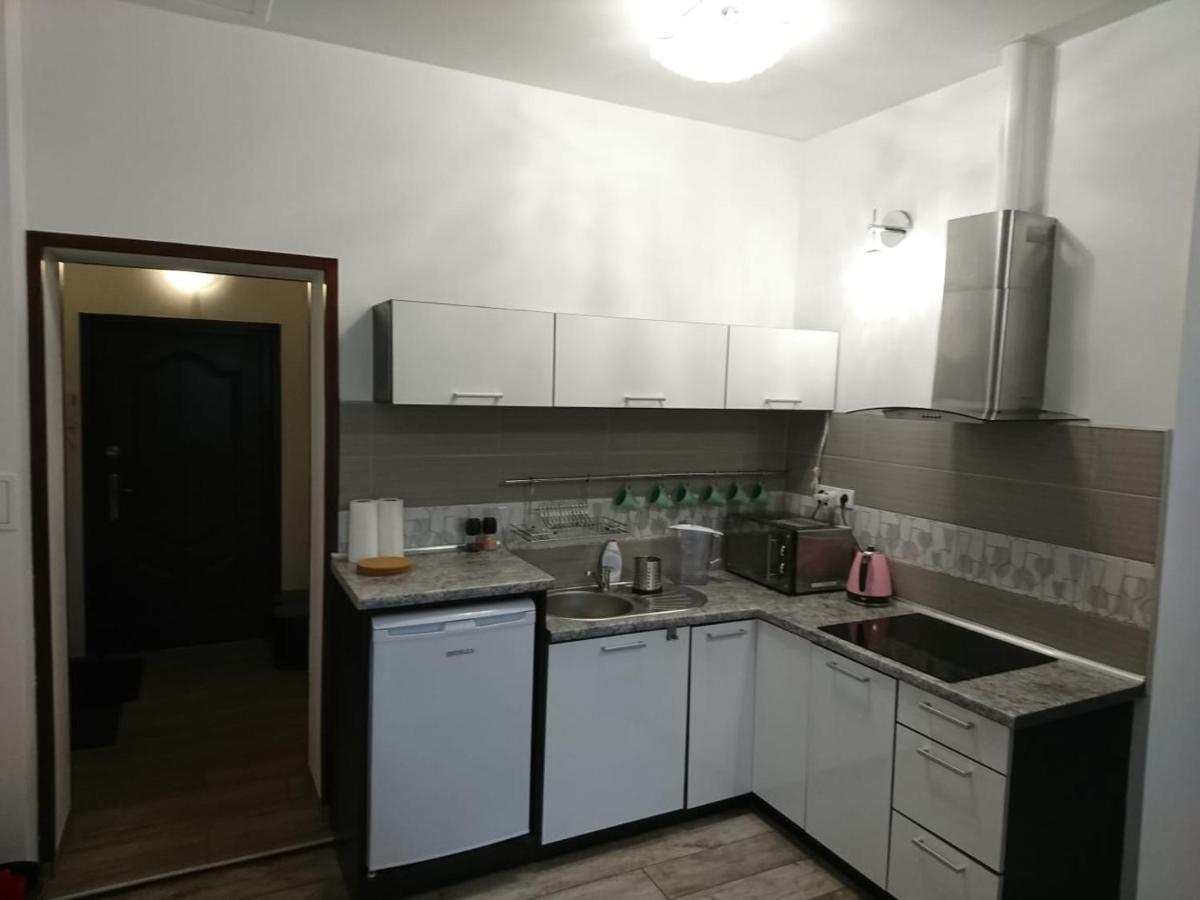 Izerski Relaks Apartment Swieradow-Zdroj